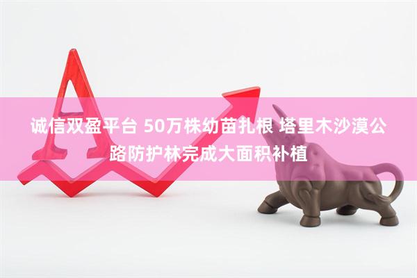 诚信双盈平台 50万株幼苗扎根 塔里木沙漠公路防护林完成大面积补植